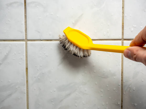 Best Best Mold Removal Companies  in Bensville, MD
