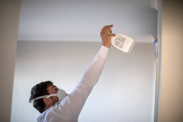 Best Residential Mold Removal  in Bensville, MD
