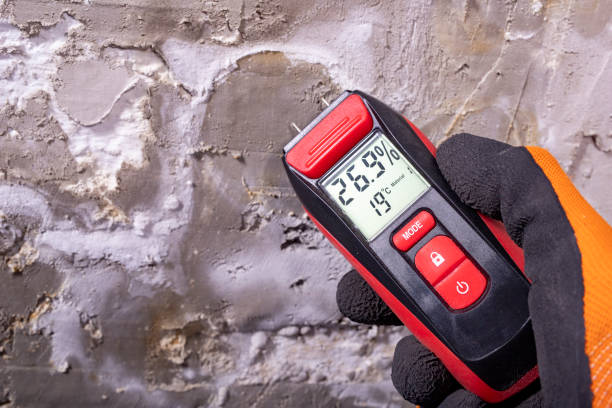 Best Mold Damage Repair  in Bensville, MD