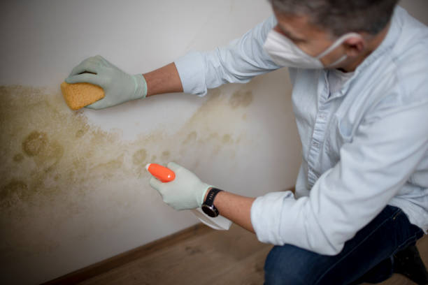 Best Crawl Space Mold Removal  in Bensville, MD