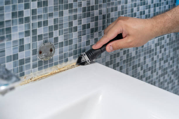 Best Mold Remediation  in Bensville, MD
