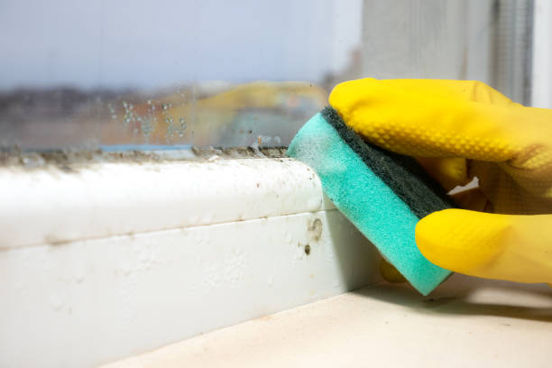 Best Mold Cleaning Services  in Bensville, MD
