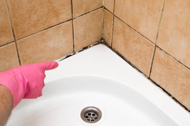 Best Mold Testing  in Bensville, MD